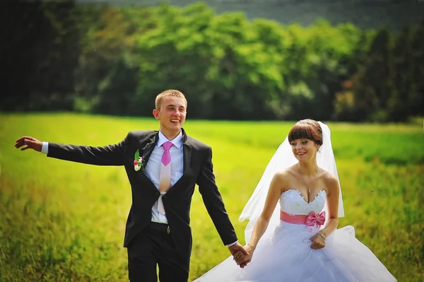 Casamento casal apaixonado em seu dia feliz — Fotografia de Stock