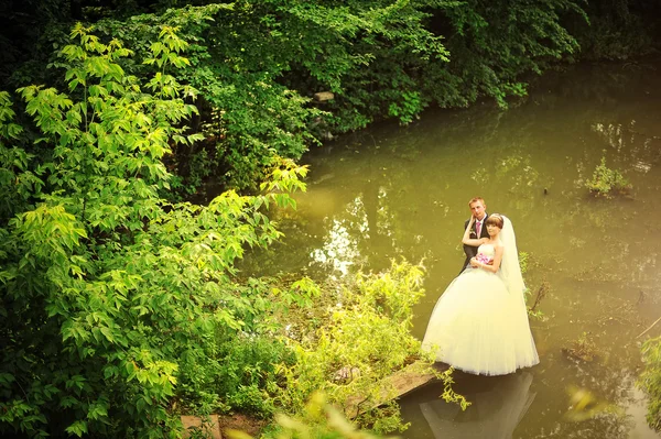 Wedding couple standing on the dock lake — ストック写真