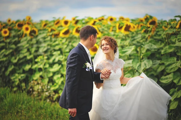 新婚夫妇在领域的向日葵 — 图库照片
