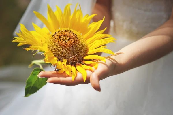 Bride with sunflower — Stock Photo, Image