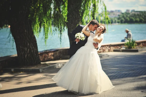 Groom kissing bride at neck — Stock Photo, Image