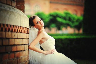  tenderness bride looked at the camera