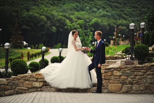 Giovane coppia di nozze felice alla bella natura — Foto Stock