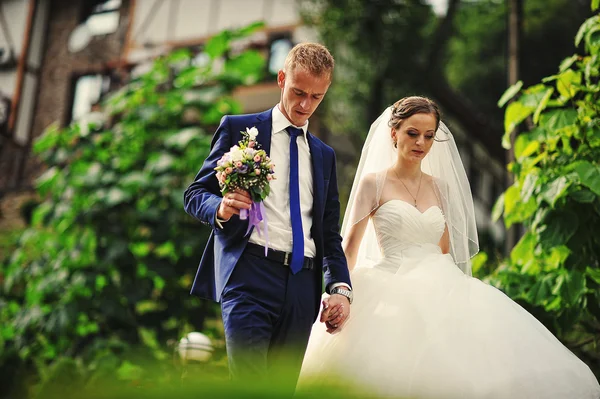 Young happy wedding couple at the nice nature — Stok fotoğraf