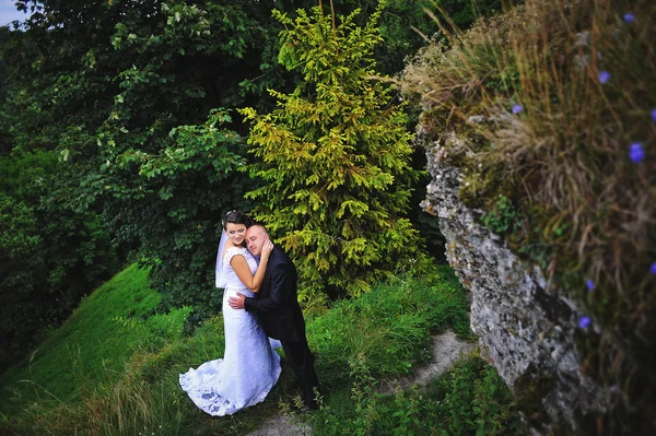 Wedding  adult couple at the scenic landscape — Stock Photo, Image