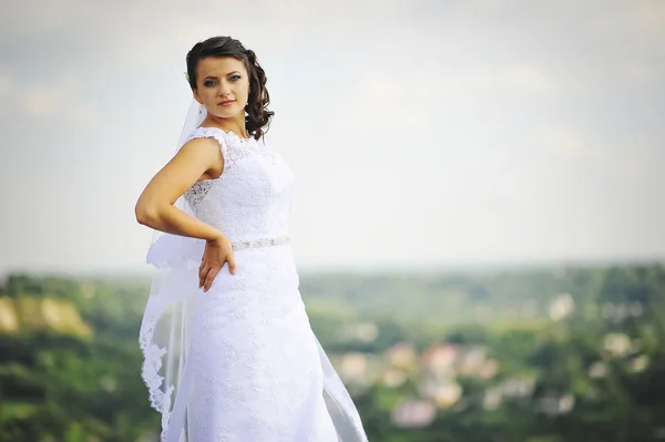 Bride posed over cliff — Stockfoto