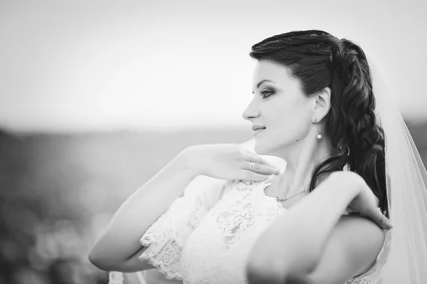 Bride posed over cliff — ストック写真