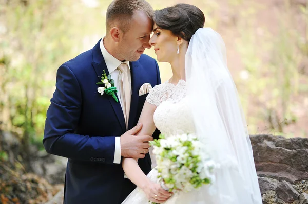 Bruidegom nam zijn vrouw hand — Stockfoto