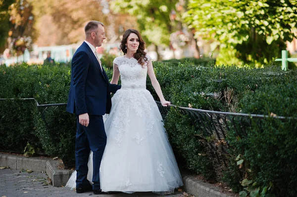 Casal de casamento em arbustos verdes — Fotografia de Stock