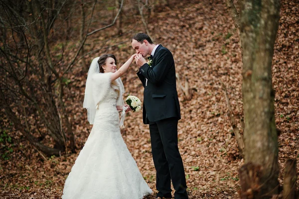 Wedding couple at the autumn forest — Stock Photo, Image