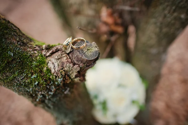 Wedding rings with bouquet at autumn leaves — Stock Photo, Image