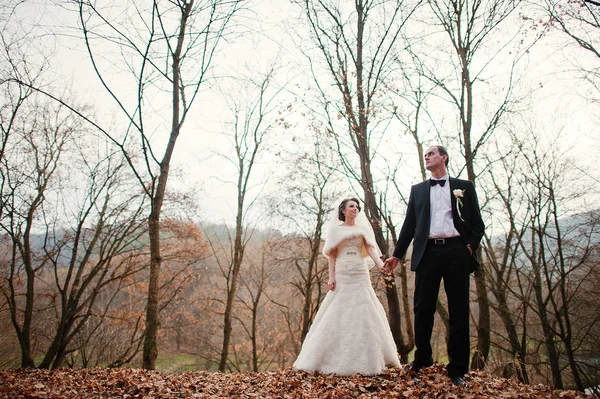 Bröllopsparet på hösten skogen — Stockfoto