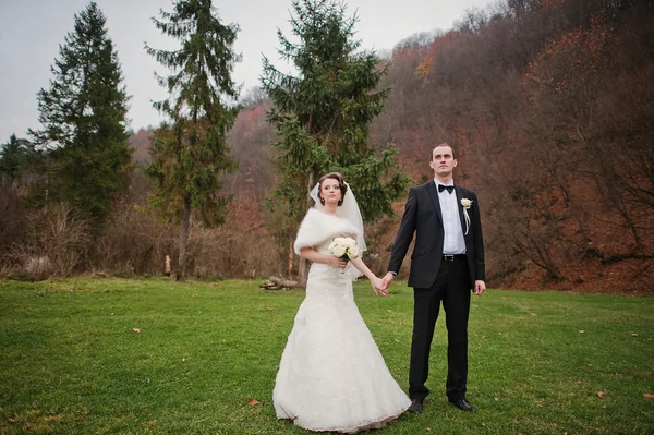 Casal de casamento na floresta de outono — Fotografia de Stock