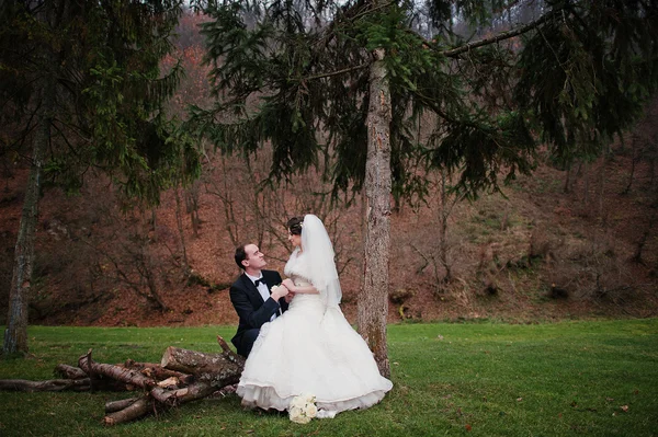 Coppia di nozze nella foresta autunnale — Foto Stock