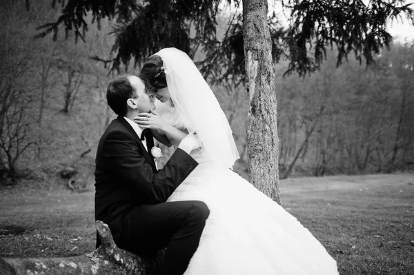 Весільна пара в осінньому лісі — стокове фото