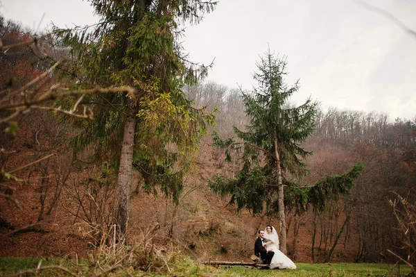 Casal de casamento na floresta de outono — Fotografia de Stock