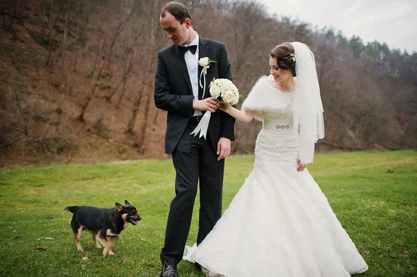 秋の森で結婚式のカップル — ストック写真