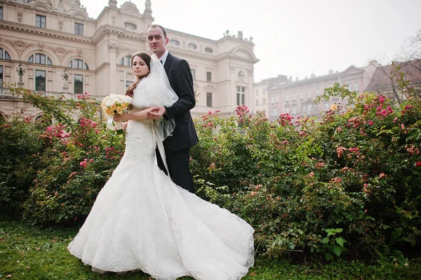 Young elegant and hearty wedding couple in love on streets of Kr — Stock Photo, Image