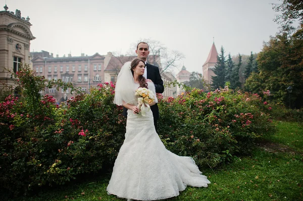 Joven pareja de boda elegante y abundante en el amor en las calles de Kr —  Fotos de Stock