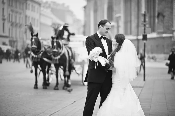 Joven pareja de boda elegante y abundante en el amor en las calles de Kr —  Fotos de Stock