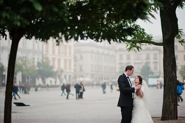 Молодая элегантная и сердечная свадебная пара влюблена на улицах Кр — стоковое фото