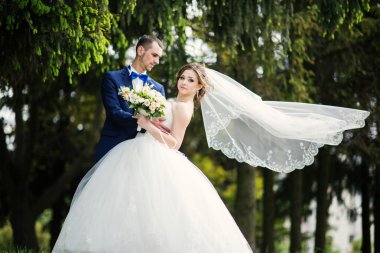 Genç güzel ve parkta yürüyüş çarklı Düğün çifti