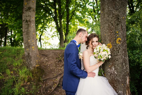 Young lovely and cheerfull wedding couple walking at the park — Stock Photo, Image