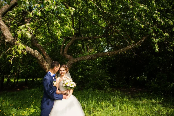 Junges schönes und fröhliches Hochzeitspaar spaziert durch den Park — Stockfoto