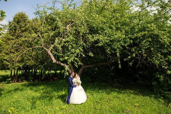 Junges schönes und fröhliches Hochzeitspaar spaziert durch den Park — Stockfoto