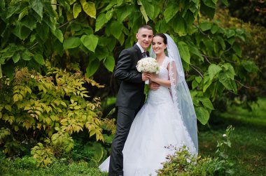 ihale evlilik çift yaprak yeşil arka plan