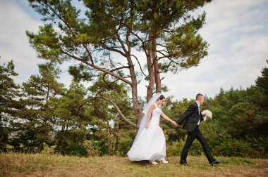 Yong esmer evli çift pinewood aşık