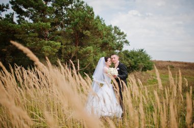 Yong esmer evli çift pinewood aşık