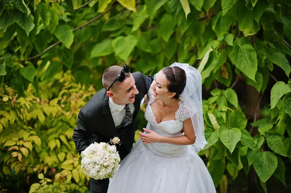 Tenero matrimonio coppia sfondo verde foglia — Foto Stock