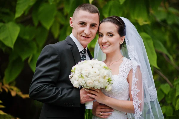 Tendre mariage couple fond vert feuille — Photo