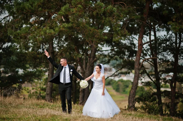 Yong morena casado casal em pinewood no amor — Fotografia de Stock