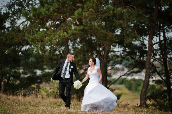 Yong bruna coppia sposata a pineta in amore — Foto Stock