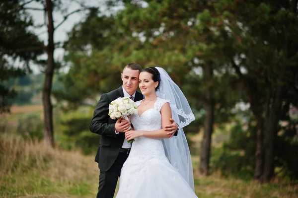 Yong brünette verheiratete paar bei pinewood in love — Stockfoto