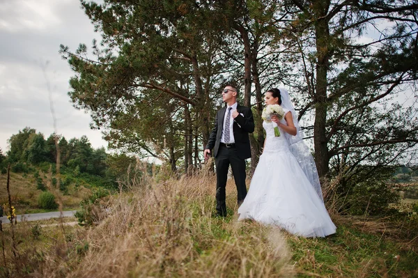 Yong bruna coppia sposata a pineta in amore — Foto Stock