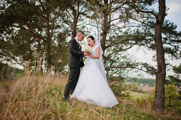 Yong brunette married couple at pinewood in love — Stock Photo, Image