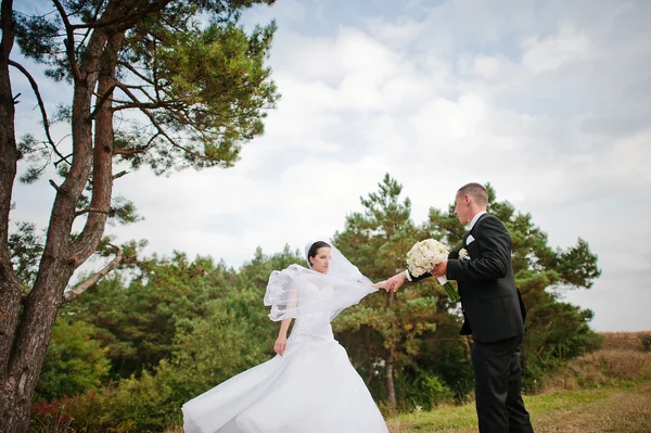 Yong bruna coppia sposata a pineta in amore — Foto Stock