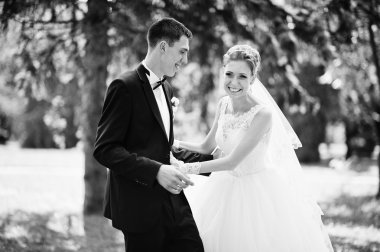 aşk Park'ta yürüyüş heyecan verici zarif Düğün çifti