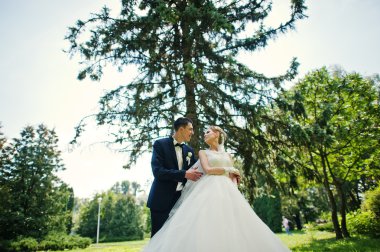 aşk Park'ta yürüyüş heyecan verici zarif Düğün çifti