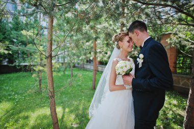 aşk Park'ta yürüyüş heyecan verici zarif Düğün çifti