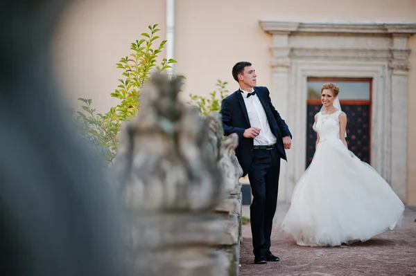 Groom and bride on the territory  exquisite castle — Stock Photo, Image