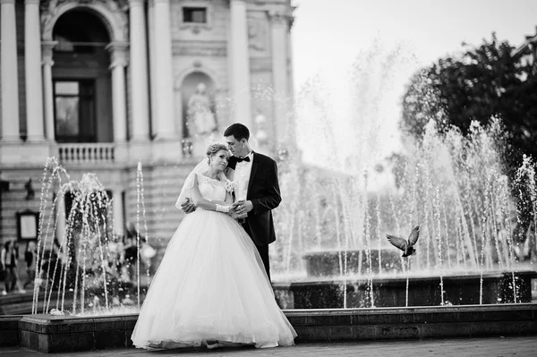 Nur verheiratete Hintergrund Brunnen und Taube auf Fliege — Stockfoto