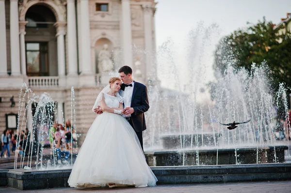 Čerstvě vdaná pozadí fontány a holub běhu — Stock fotografie