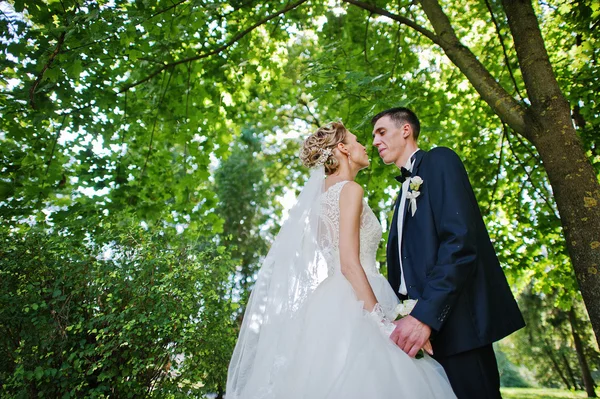 Spannende elegante bruidspaar, wandelen in het park in de liefde — Stockfoto