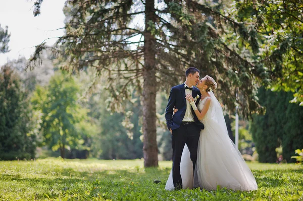 Захоплююча елегантна весільна пара гуляє в парку закоханих — стокове фото