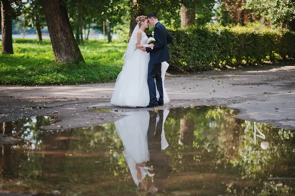 Emozionante elegante coppia di nozze passeggiando al parco in amore, siluet — Foto Stock