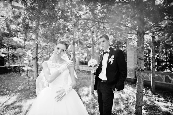 Spannende elegante bruidspaar, wandelen in het park in de liefde — Stockfoto